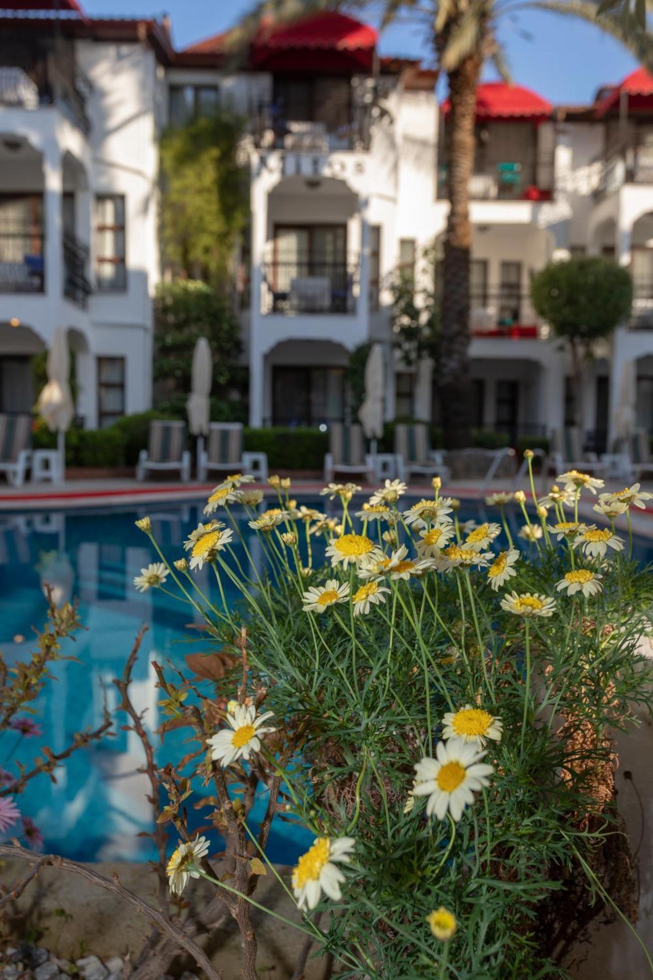 מרמריס Mitos Apartments מראה חיצוני תמונה